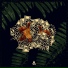 INFUSE, U MAD BRO?