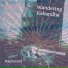 Wandering Kabandha