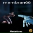 membran 66
