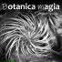 Botanica magia