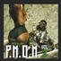 P.o.s.l.i.m.