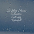 Amazing Spa Music, Sleepy Times, Rain and Nature