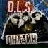 DLS ft. Slim (CENTR)