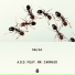 Salva feat. Mr. Carmack