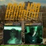 84Aurora, Lavecy