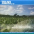 Salako