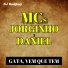 Mcs Jorginho e Daniel