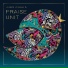 Joakim Arenius & Praise Unit feat. Pär Lindberg