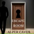 Alper Cavus