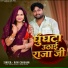 Ravi Chauhan