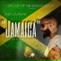 Don J Leone