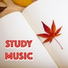 Concentration Music Ensemble