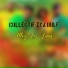Collectif zya Dulf