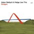 Adam Baldych, Helge Lien Trio