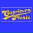 Capricorn Picnic
