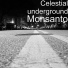 celestial underground