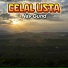 Celal Usta