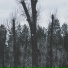 Mntlsrrw, Wierless