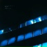 .diedlonely