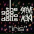 Goo Goo Dolls, Steve Aoki