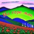 ALGIN
