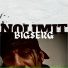 BIG$ERG