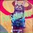 thatcatpuppetshow