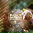 Pasaje Universo
