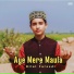Bilal Fareedi