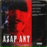 ASAP Ant Ft. ASAP Ferg & ASAP Twelvyy