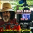 Chico Braga