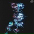 SanelliX, SpoonBeats, Dream Ambient