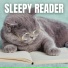 The Sleepy Sounds