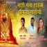 Tejas Desai, Harish Tarte