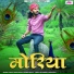 Chhotu Singh Rawna, Rashmi Nishad