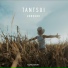 Tantsui