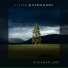 Little Symphony