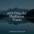 Rain Sound Studio, Rainforest, Yoga Trainer