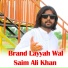 Saim Ali Khan