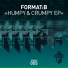 Format B