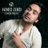 Hamed Zandi