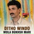 Mola Bukhsh Mari