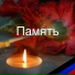 NTV Project Naumova Tatyana