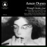 Amen Dunes