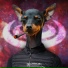 Reydo, Bryzn