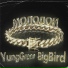 YungGreen feat. BigBird