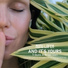 Manu Lafer feat. Sam Reider