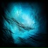 Rolitik