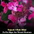 Najeeb Ullah Hilal