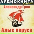 Аудиокнига в кармане, Максим Доронин